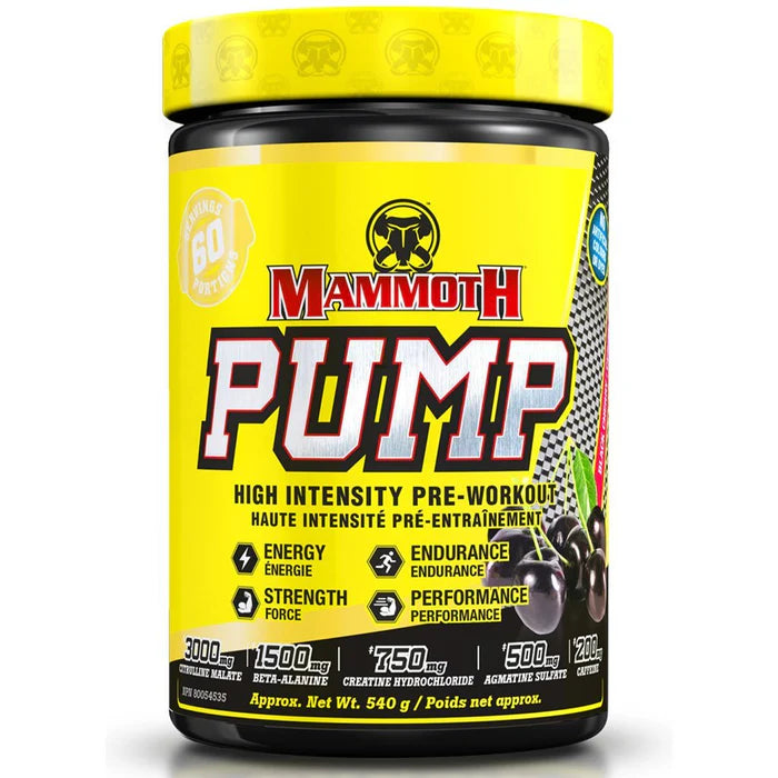 Mammoth Pump