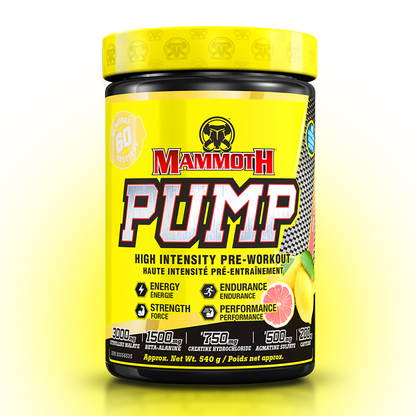Mammoth Pump